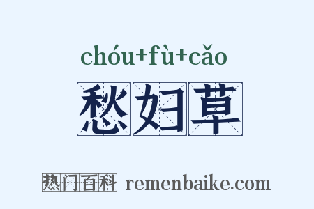 愁妇草是什么意思的图片